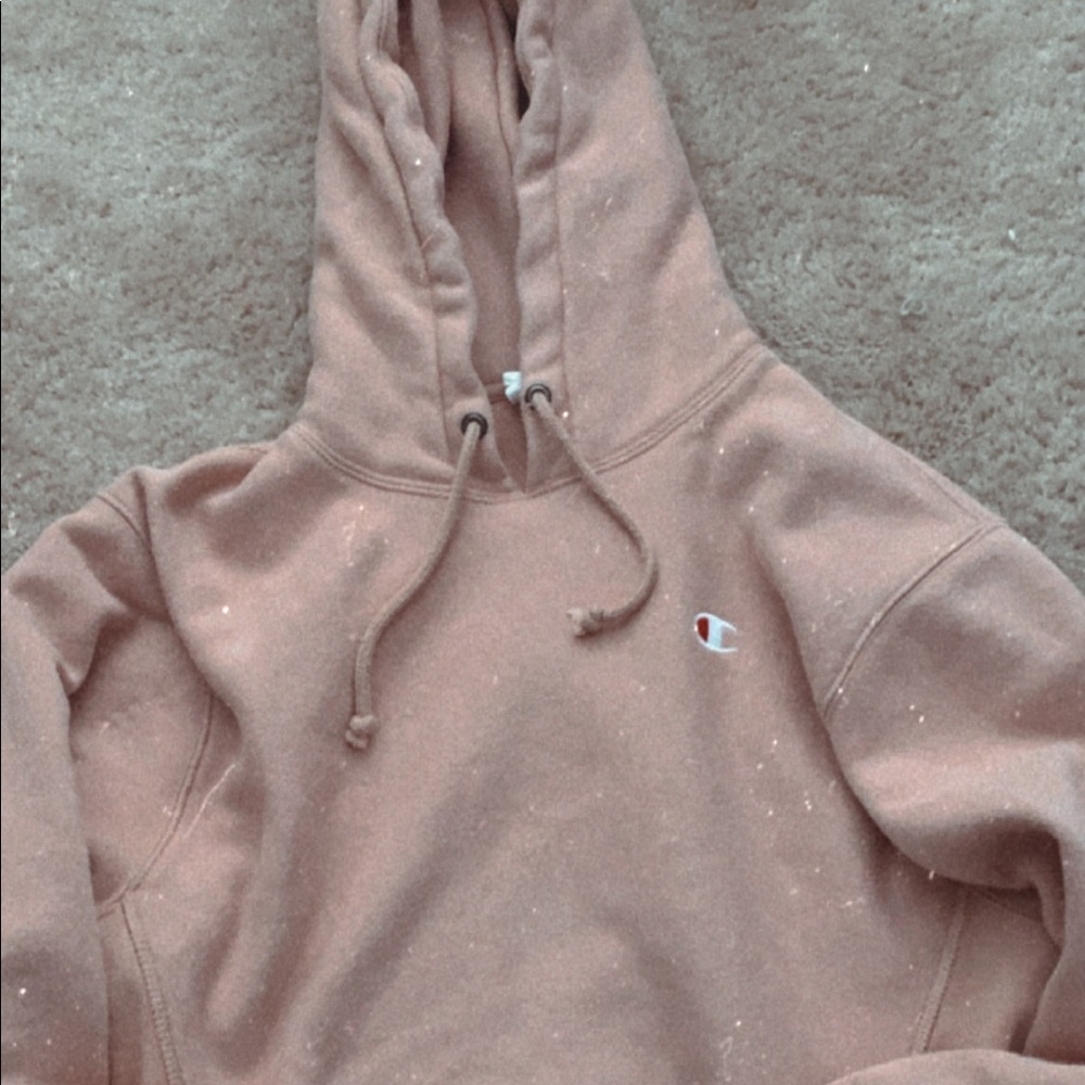 Champion reverse weave cropped hoodie